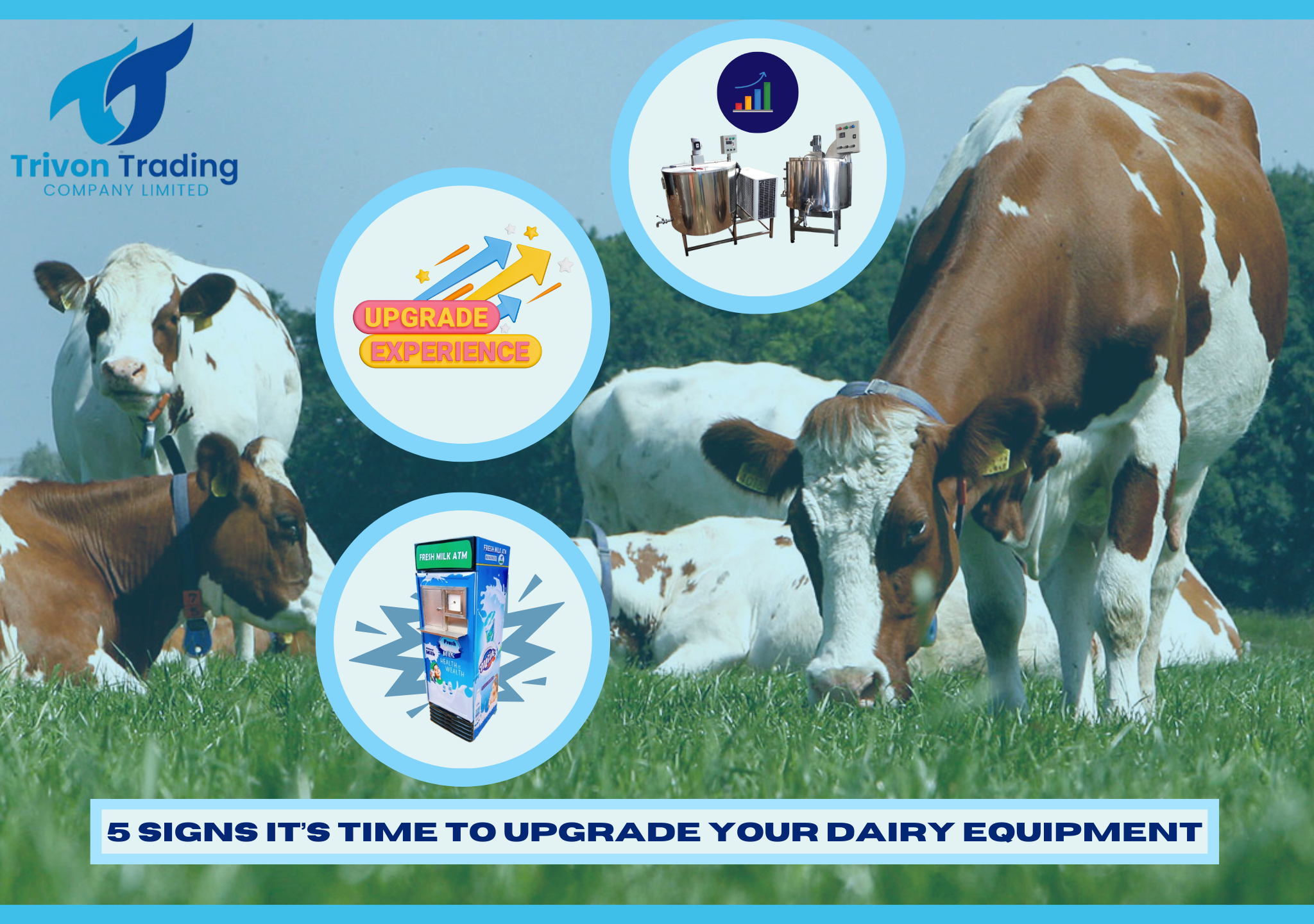 In the fast-paced world of the dairy industry, efficiency, quality, and customer satisfaction are critical to staying competitive. Whether you're running a small dairy farm or a large-scale dairy processing operation, your equipment plays a crucial role in your business's success. However, like all machinery, dairy equipment has a lifespan, and knowing when to upgrade can make a significant difference in your operations. This guide will walk you through five key signs that it’s time to upgrade your dairy equipment, helping you improve efficiency, maintain quality, and stay ahead of the competition. 1. Frequent Equipment Breakdowns If your equipment seems to spend more time in the repair shop than on the production floor, it's a clear sign that it's time for an upgrade. Frequent breakdowns can disrupt your workflow, leading to production delays and dissatisfied customers. Not only do these repairs cost time and money, but they can also impact the consistency of your dairy products. Take, for instance, a Milk ATM that suddenly stops dispensing milk during peak hours. This not only frustrates customers but also creates a backlog in your operations. Newer models of Milk ATMs are designed with improved durability, requiring less frequent maintenance and offering reliable performance. Why Upgrade? Save money on constant repairs. Minimize downtime in your production process. Invest in reliable equipment to enhance productivity. 2. Inconsistent Product Quality Maintaining consistent quality is non-negotiable in the dairy industry. Whether you're producing fresh milk, yogurt, or cheese, even slight variations in taste, texture, or freshness can lead to customer complaints and potential losses. Outdated chillers or pasteurizers often struggle to maintain the precise temperatures and conditions necessary for quality control. For example, a chiller that fails to maintain a consistent cooling temperature can compromise the freshness of milk, shortening its shelf life. Similarly, an inefficient pasteurizer may not heat milk evenly, increasing the risk of contamination. How Upgraded Equipment Helps: Ensures consistent cooling and pasteurization for high-quality products. Meets strict food safety standards. Reduces waste by maintaining product integrity. At Trivon Trading Company Limited, our advanced chillers and pasteurizers are built to deliver the precision required to maintain the highest standards of dairy production. 3. Rising Energy Costs Energy costs can eat into your profits, especially if you're using old and inefficient equipment. Older dairy machines often consume excessive amounts of electricity, adding to your operational expenses. New energy-efficient equipment, such as stainless steel holding tanks or reverse osmosis machines, is designed to operate with lower energy consumption. These machines not only save you money but also reduce your environmental footprint—a growing priority for businesses and consumers alike. Benefits of Energy-Efficient Upgrades: Lower monthly energy bills. Improved sustainability and reduced carbon footprint. Enhanced performance with reduced resource usage. For example, our stainless steel holding tanks at Trivon Trading come equipped with advanced insulation and energy-efficient cooling systems to ensure minimal power consumption without compromising performance. 4. Increased Demand Exceeds Equipment Capacity As your business grows, your equipment must grow with it. If you're struggling to meet increased customer demand, it's likely that your current equipment has reached its capacity. Imagine running a growing dairy business but still relying on a 1,000L milk cooler when your daily production now exceeds 2,000 liters. This mismatch between demand and equipment capacity can lead to delays, product spoilage, and missed opportunities. Upgrading to high-capacity equipment, like a 5,000L or 10,000L milk cooler, ensures you can meet market demands while maintaining efficiency. Why Choose High-Capacity Equipment? Accommodates larger production volumes. Reduces the risk of spoilage and wastage. Future-proofs your business for continued growth. At Trivon Trading, we offer a range of high-capacity machines, tailored to meet the needs of both small and large-scale dairy operations. 5. Outdated Equipment Fails to Meet Industry Standards The dairy industry is governed by strict regulations and standards designed to ensure product safety and quality. Using outdated equipment that no longer meets these standards can lead to compliance issues, legal penalties, and damage to your reputation. Modern equipment is designed with the latest safety features, hygienic materials, and automated systems to streamline operations and maintain compliance. For example, stainless steel storage tanks and bottle rinsers are crafted to meet hygiene standards, ensuring contamination-free storage and packaging. Advantages of Upgraded Equipment: Reduces the risk of contamination or spoilage. Ensures compliance with food safety and hygiene regulations. Builds trust with customers by guaranteeing safe, high-quality products. How Trivon Trading Can Help At Trivon Trading Company Limited, we specialize in providing state-of-the-art dairy equipment to meet the evolving needs of your business. From Milk ATMs and pasteurizers to stainless steel holding tanks and high-capacity chillers, our machines are designed to enhance efficiency, reduce costs, and maintain product quality. Our team of experts is here to guide you in selecting the best equipment for your specific requirements. With Trivon Trading, you can trust that you're investing in reliable, high-quality machines that will take your dairy business to the next level. Conclusion If you’ve noticed any of these signs in your operations, it’s time to consider upgrading your dairy equipment. Modern, efficient, and reliable machinery is not just an investment in your business—it’s a commitment to quality, sustainability, and customer satisfaction. Whether you're a small-scale entrepreneur or a large-scale dairy producer, upgrading your equipment can help you: Enhance operational efficiency. Ensure consistent product quality. Meet industry standards and grow your customer base. Don’t wait for outdated equipment to hold your business back. Contact Trivon Trading Company Limited today for a consultation, and let us help you find the perfect equipment to meet your needs. Trivon Trading – Your Partner in Dairy Excellence.